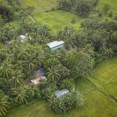 Coconut Park Bed and Breakfast Anuradhapura Exterior foto