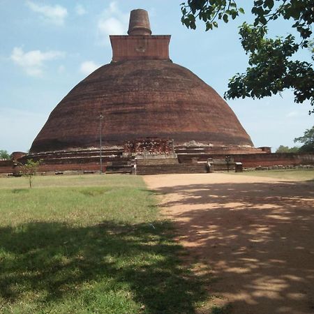 Coconut Park Bed and Breakfast Anuradhapura Exterior foto