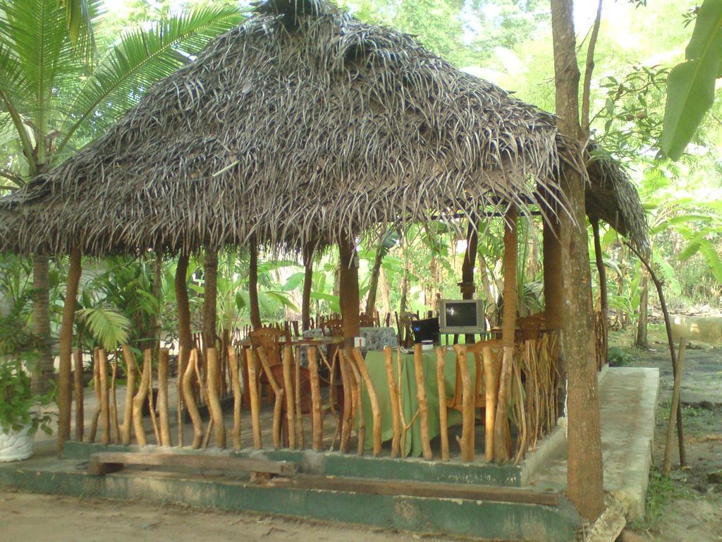 Coconut Park Bed and Breakfast Anuradhapura Exterior foto
