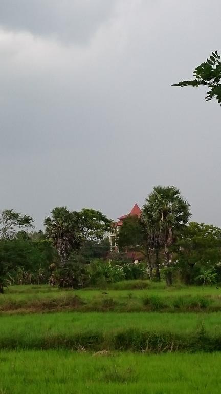 Coconut Park Bed and Breakfast Anuradhapura Exterior foto