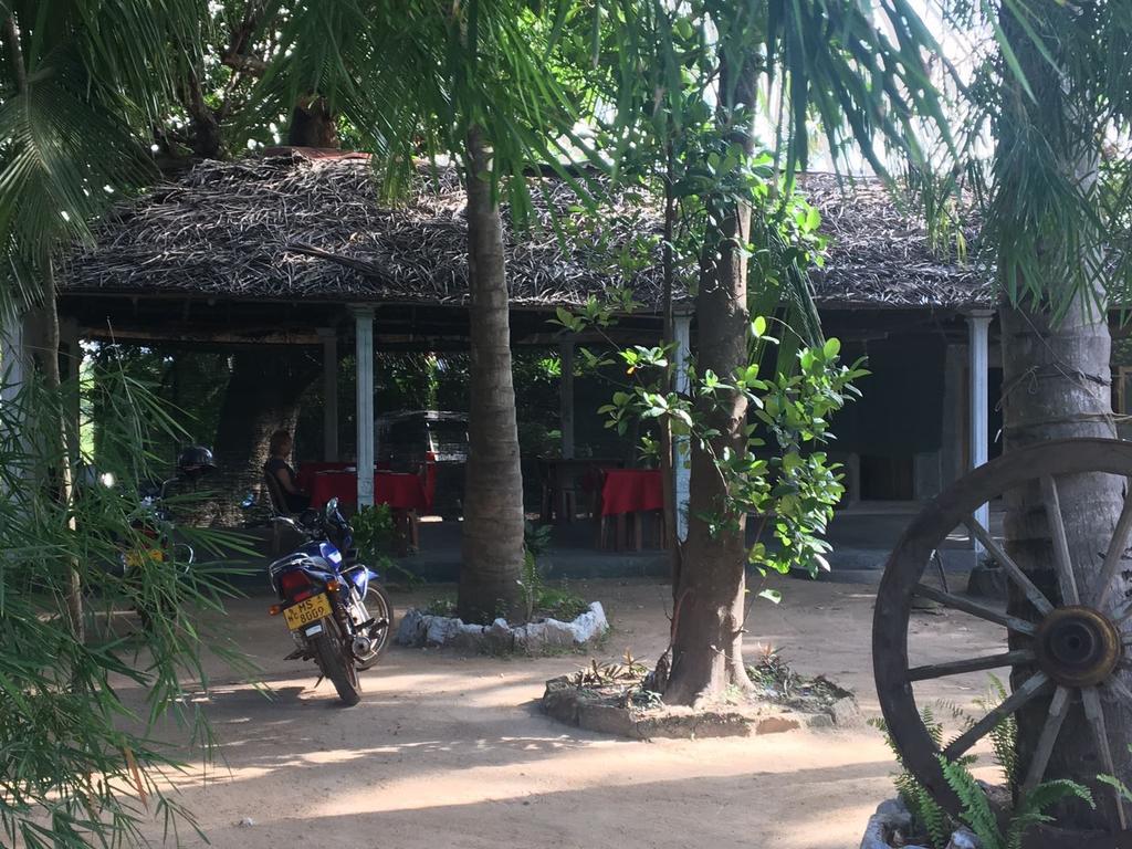 Coconut Park Bed and Breakfast Anuradhapura Exterior foto