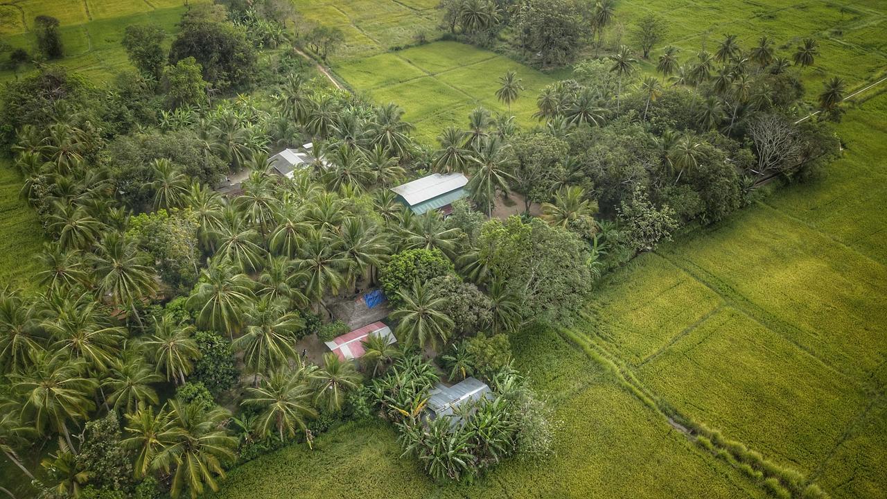 Coconut Park Bed and Breakfast Anuradhapura Exterior foto