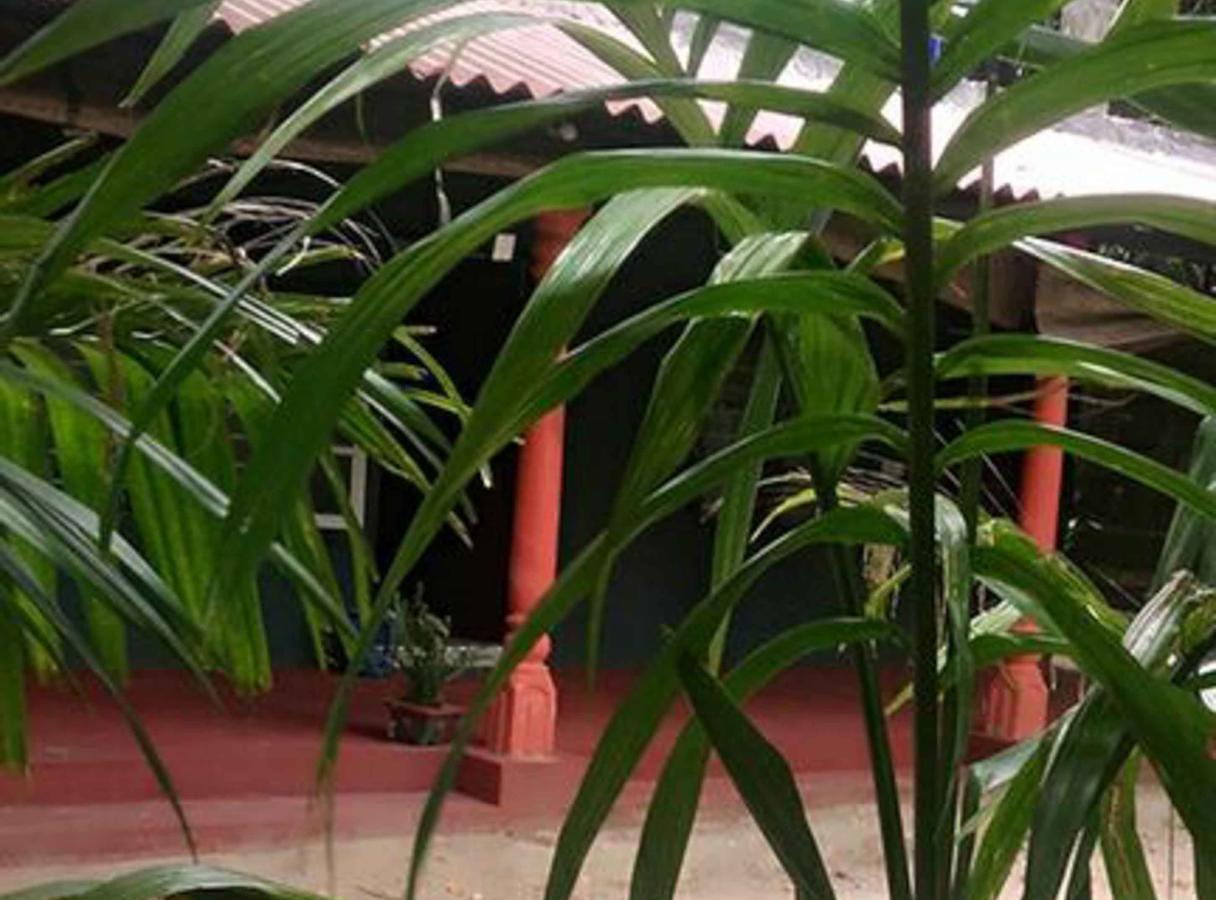 Coconut Park Bed and Breakfast Anuradhapura Exterior foto
